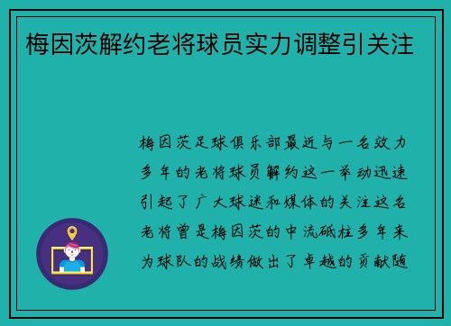 梅因茨解约老将球员实力调整引关注