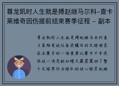 尊龙凯时人生就是搏赵继马尔科-查卡莱维奇因伤提前结束赛季征程 - 副本